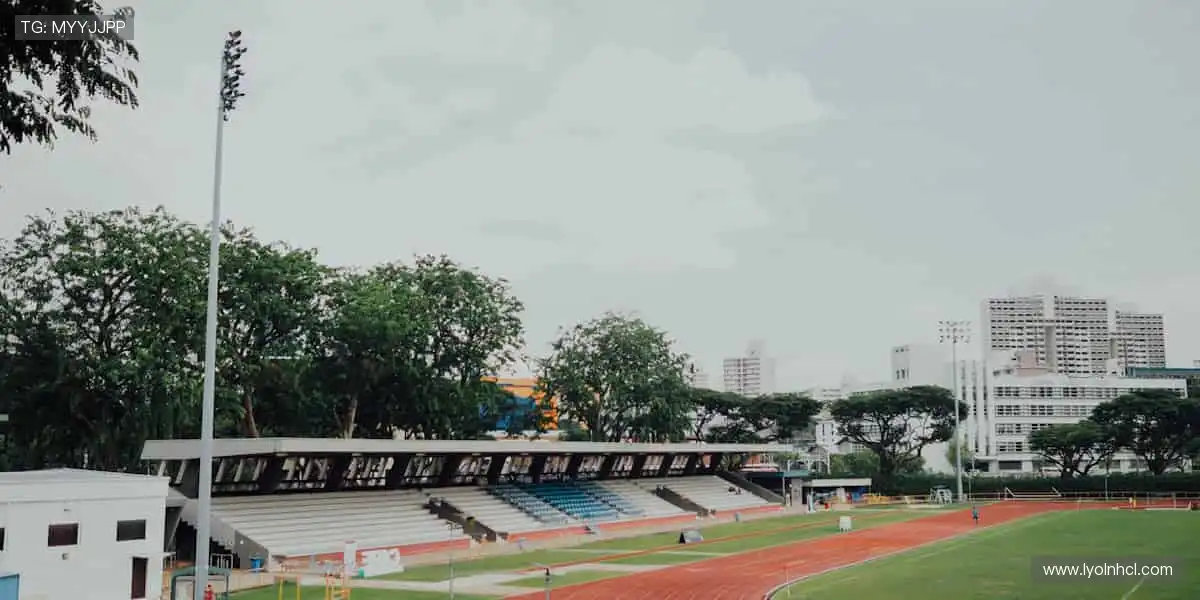 掌控全球赛事，点燃你的热血！🌍🔥